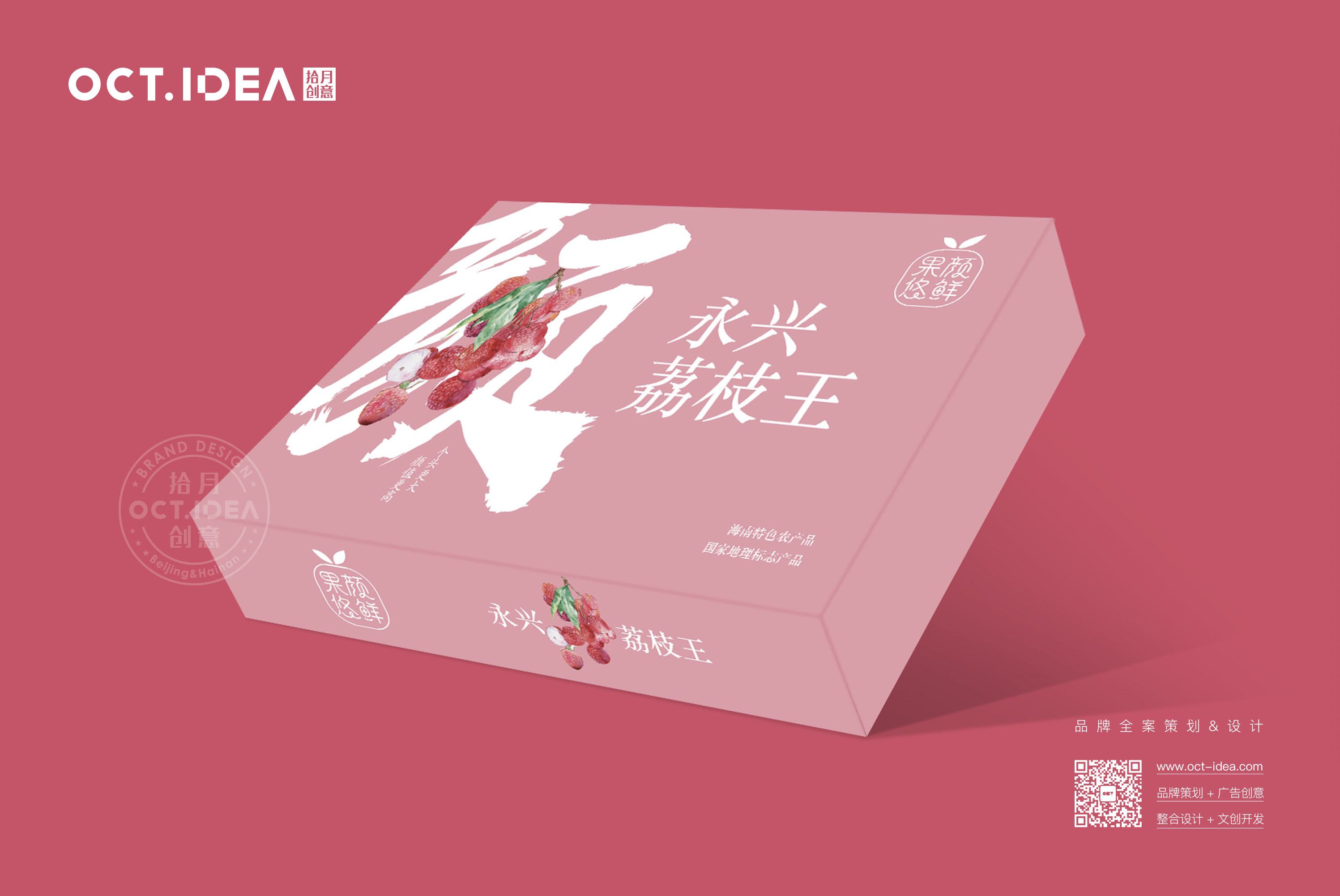 定安荔枝包装设计